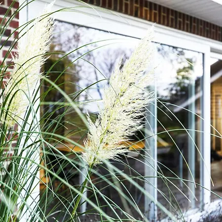 Johannisnest Comfortable Dom wakacyjny Poppenbull